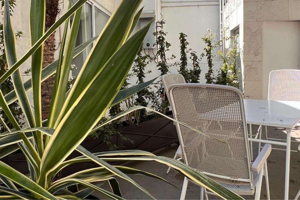Condesa Residence Amsterdam D Sunny 2Bed 1Bath Apt In Condesa เม็กซิโกซิตี้ ภายนอก รูปภาพ