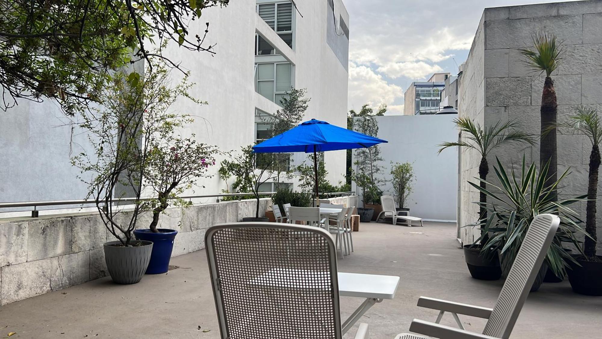 Condesa Residence Amsterdam D Sunny 2Bed 1Bath Apt In Condesa เม็กซิโกซิตี้ ภายนอก รูปภาพ