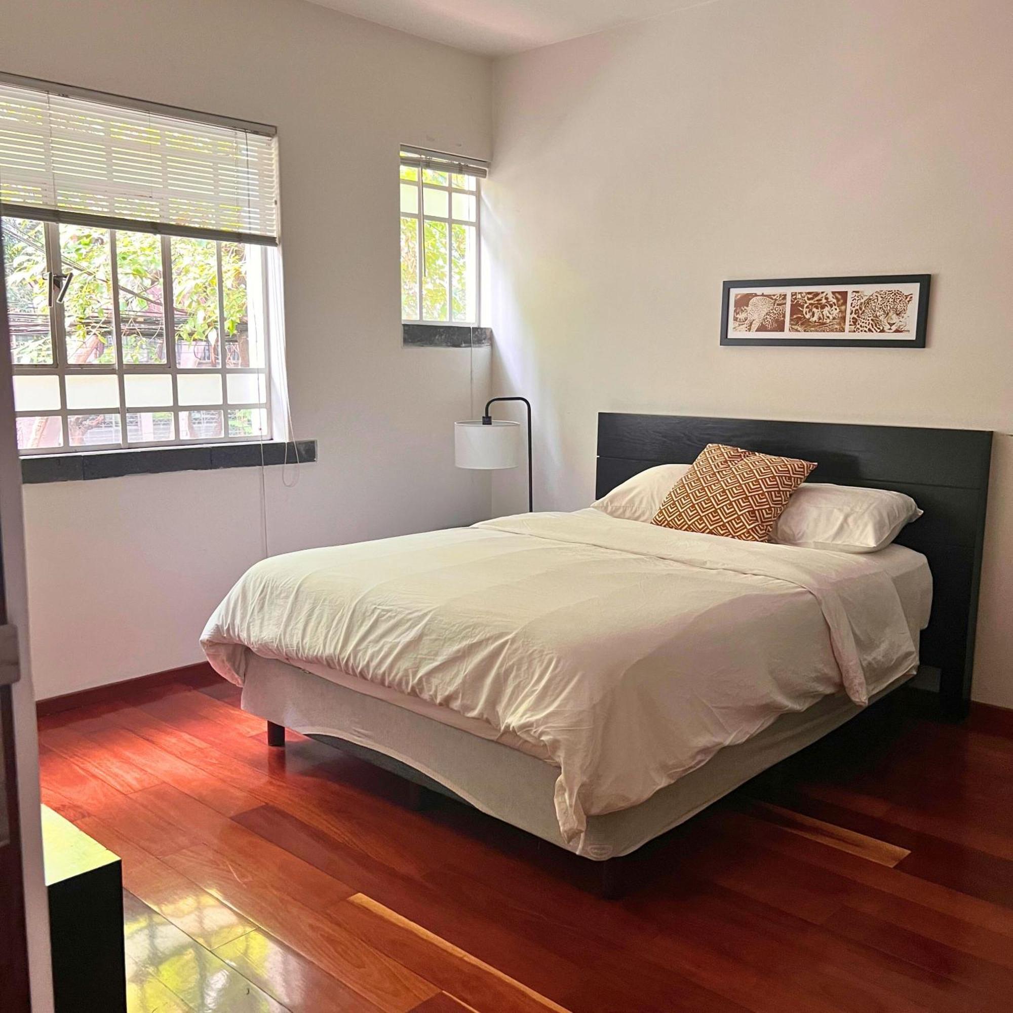 Condesa Residence Amsterdam D Sunny 2Bed 1Bath Apt In Condesa เม็กซิโกซิตี้ ภายนอก รูปภาพ